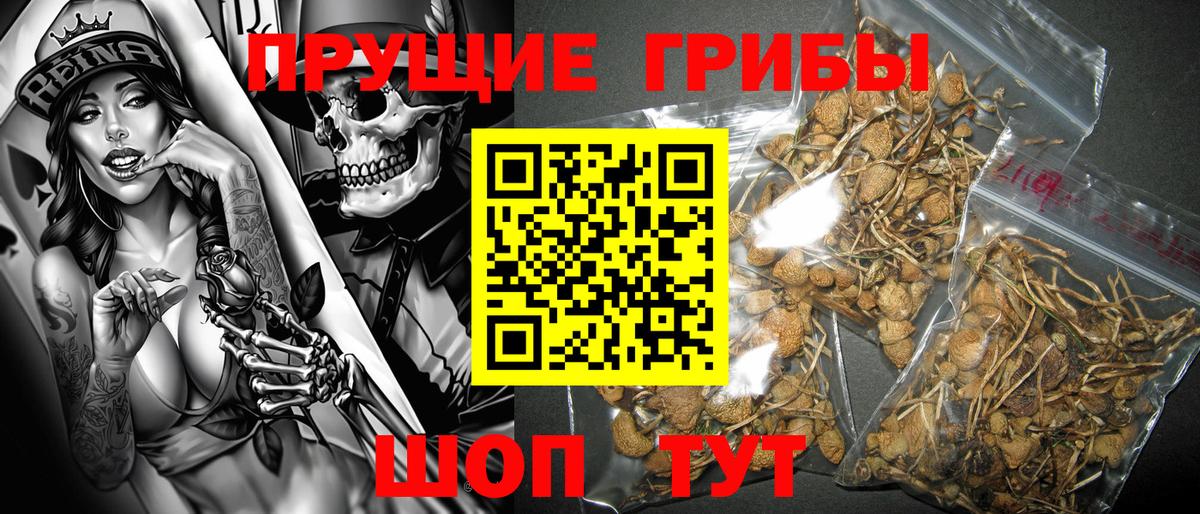 Галлюциногенные грибы MAGIC MUSHROOMS Истра